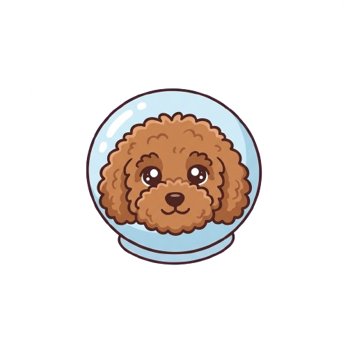 Paddington astronauta